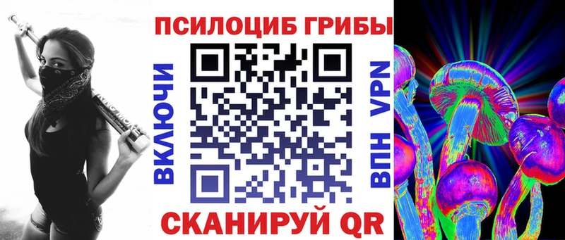 Псилоцибиновые грибы Psilocybine cubensis  Циолковский 